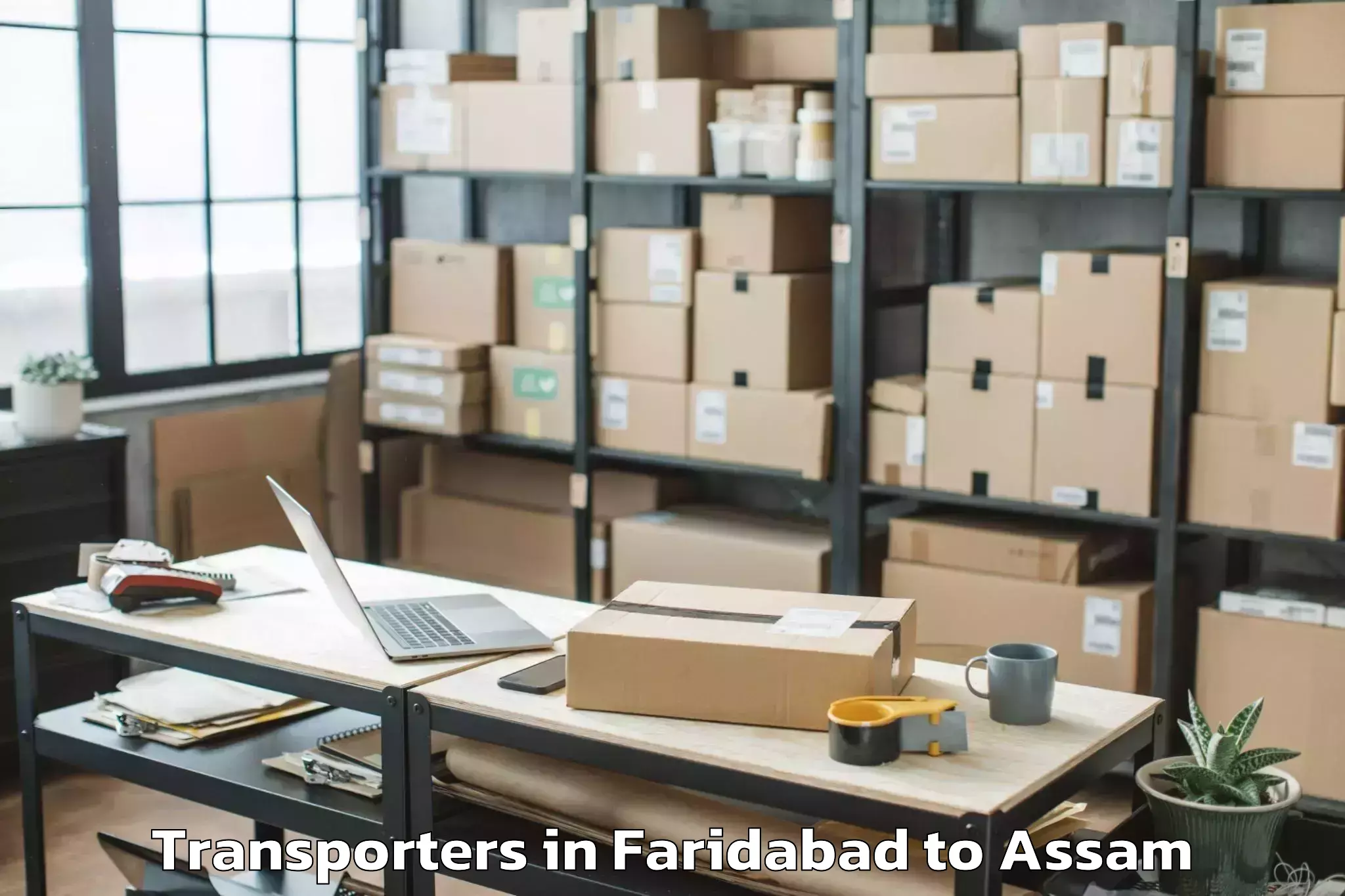 Expert Faridabad to Numaligarh Transporters